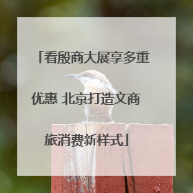 看殷商大展享多重优惠 北京打造文商旅消费新样式