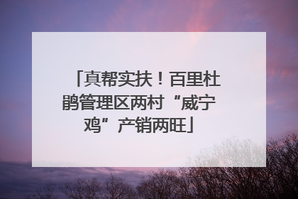真帮实扶！百里杜鹃管理区两村“威宁鸡”产销两旺
