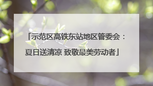 示范区高铁东站地区管委会：夏日送清凉 致敬最美劳动者