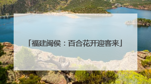 福建闽侯：百合花开迎客来