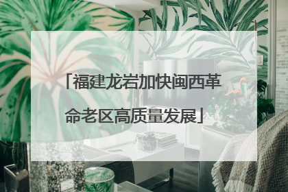 福建龙岩加快闽西革命老区高质量发展