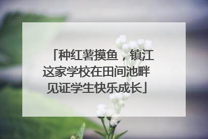 种红薯摸鱼，镇江这家学校在田间池畔见证学生快乐成长