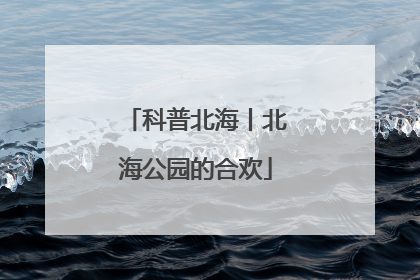 科普北海丨北海公园的合欢