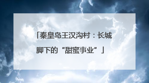 秦皇岛王汉沟村：长城脚下的“甜蜜事业”