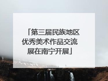 第三届民族地区优秀美术作品交流展在南宁开展