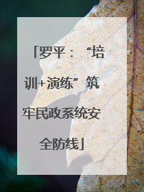 罗平：“培训+演练”筑牢民政系统安全防线