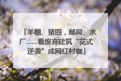 羊棚、猪圈，邮局、水厂……看废弃建筑“花式逆袭”成网红村咖