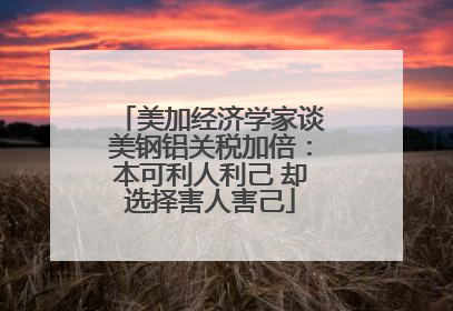 美加经济学家谈美钢铝关税加倍：本可利人利己 却选择害人害己
