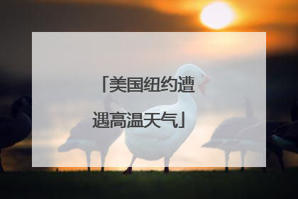 美国纽约遭遇高温天气