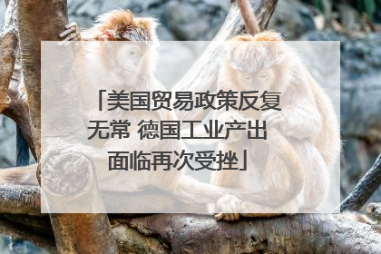 美国贸易政策反复无常 德国工业产出面临再次受挫
