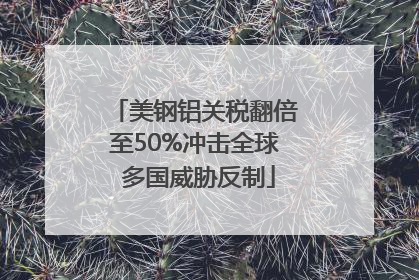 美钢铝关税翻倍至50%冲击全球 多国威胁反制