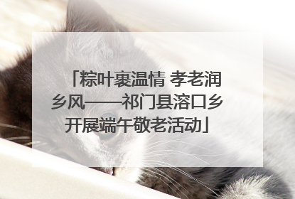 粽叶裹温情 孝老润乡风——祁门县溶口乡开展端午敬老活动