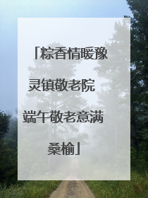 粽香情暖豫灵镇敬老院 端午敬老意满桑榆