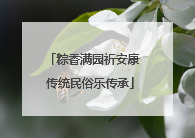 粽香满园祈安康 传统民俗乐传承