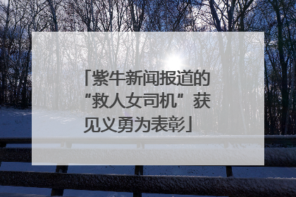 紫牛新闻报道的“救人女司机”获见义勇为表彰