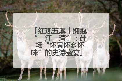 红观五溪丨拥抱“三江一湾”：赴一场“怀景怀乡怀味”的史诗盛宴