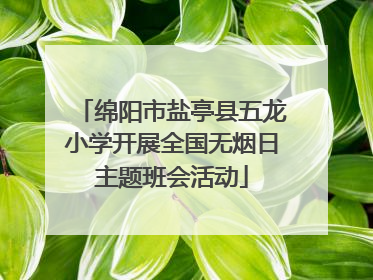 绵阳市盐亭县五龙小学开展全国无烟日主题班会活动