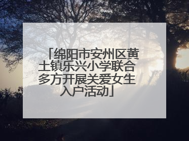 绵阳市安州区黄土镇乐兴小学联合多方开展关爱女生入户活动