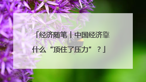 经济随笔丨中国经济靠什么“顶住了压力”？