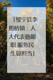 绥宁县李熙桥镇：人大代表勤履职 服务民生显担当