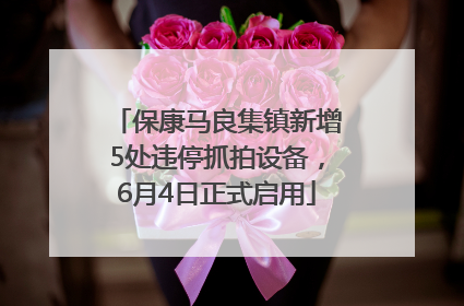 保康马良集镇新增5处违停抓拍设备，6月4日正式启用