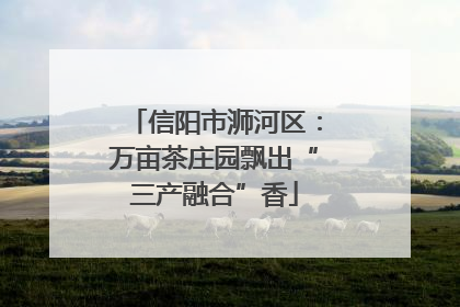 信阳市浉河区：万亩茶庄园飘出“三产融合”香