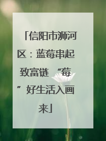 信阳市浉河区：蓝莓串起致富链 “莓”好生活入画来
