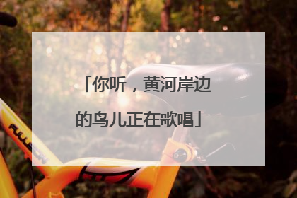 你听，黄河岸边的鸟儿正在歌唱