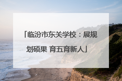 临汾市东关学校：展规划硕果 育五育新人