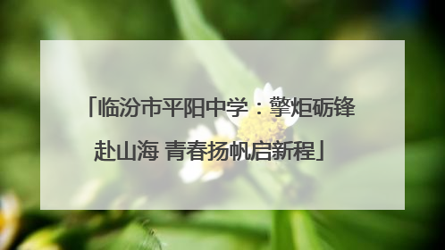 临汾市平阳中学：擎炬砺锋赴山海 青春扬帆启新程