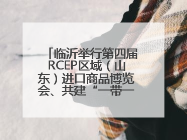 临沂举行第四届RCEP区域（山东）进口商品博览会、共建“一带一路”第三届临沂商城国际采购商大会新闻发布会