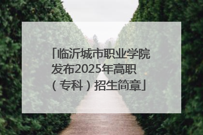 临沂城市职业学院发布2025年高职（专科）招生简章