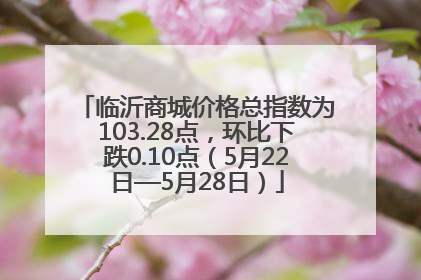 临沂商城价格总指数为103.28点，环比下跌0.10点（5月22日—5月28日）
