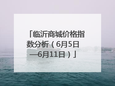 临沂商城价格指数分析（6月5日—6月11日）