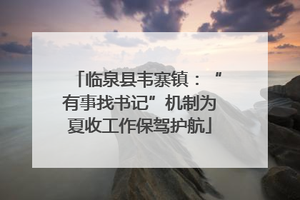临泉县韦寨镇：“有事找书记”机制为夏收工作保驾护航