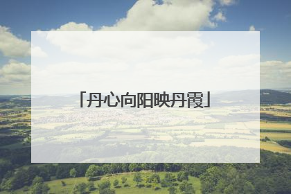 丹心向阳映丹霞