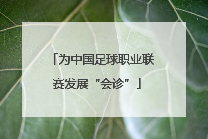 为中国足球职业联赛发展“会诊”