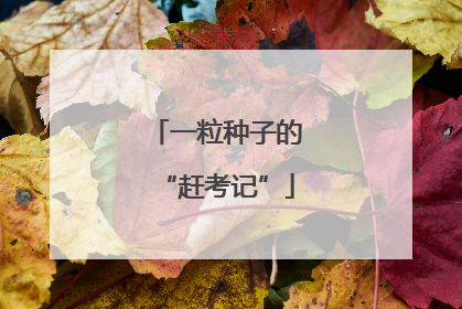 一粒种子的“赶考记”