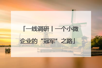 一线调研丨一个小微企业的“冠军”之路