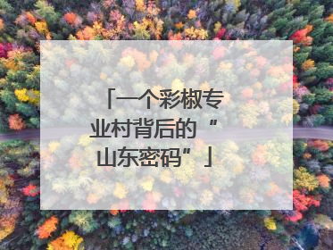 一个彩椒专业村背后的“山东密码”