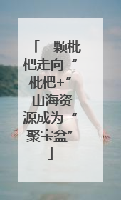 一颗枇杷走向“枇杷+” 山海资源成为“聚宝盆”