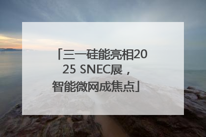 三一硅能亮相2025 SNEC展，智能微网成焦点