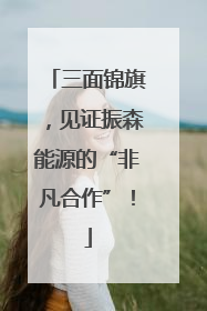 三面锦旗，见证振森能源的“非凡合作”！