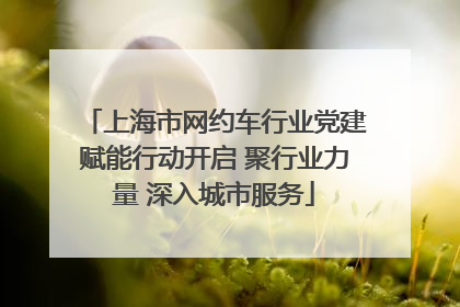 上海市网约车行业党建赋能行动开启 聚行业力量 深入城市服务