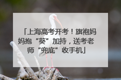 上海高考开考！旗袍妈妈抱“葵”加持，送考老师“兜底”收手机
