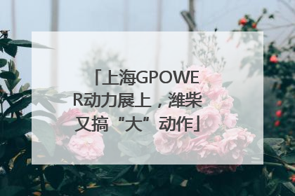 上海GPOWER动力展上，潍柴又搞“大”动作