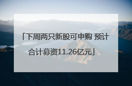 下周两只新股可申购 预计合计募资11.26亿元