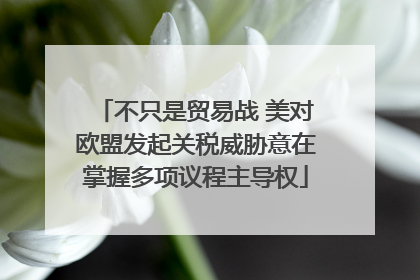 不只是贸易战 美对欧盟发起关税威胁意在掌握多项议程主导权