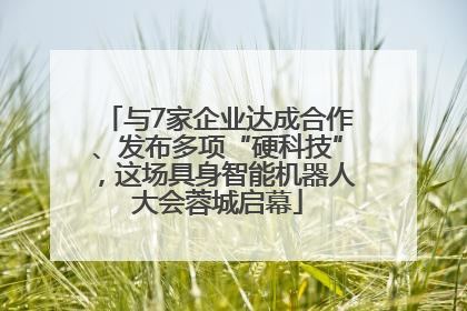 与7家企业达成合作、发布多项“硬科技”，这场具身智能机器人大会蓉城启幕