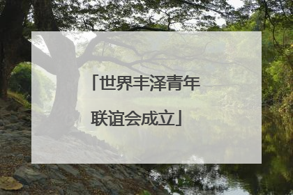 世界丰泽青年联谊会成立